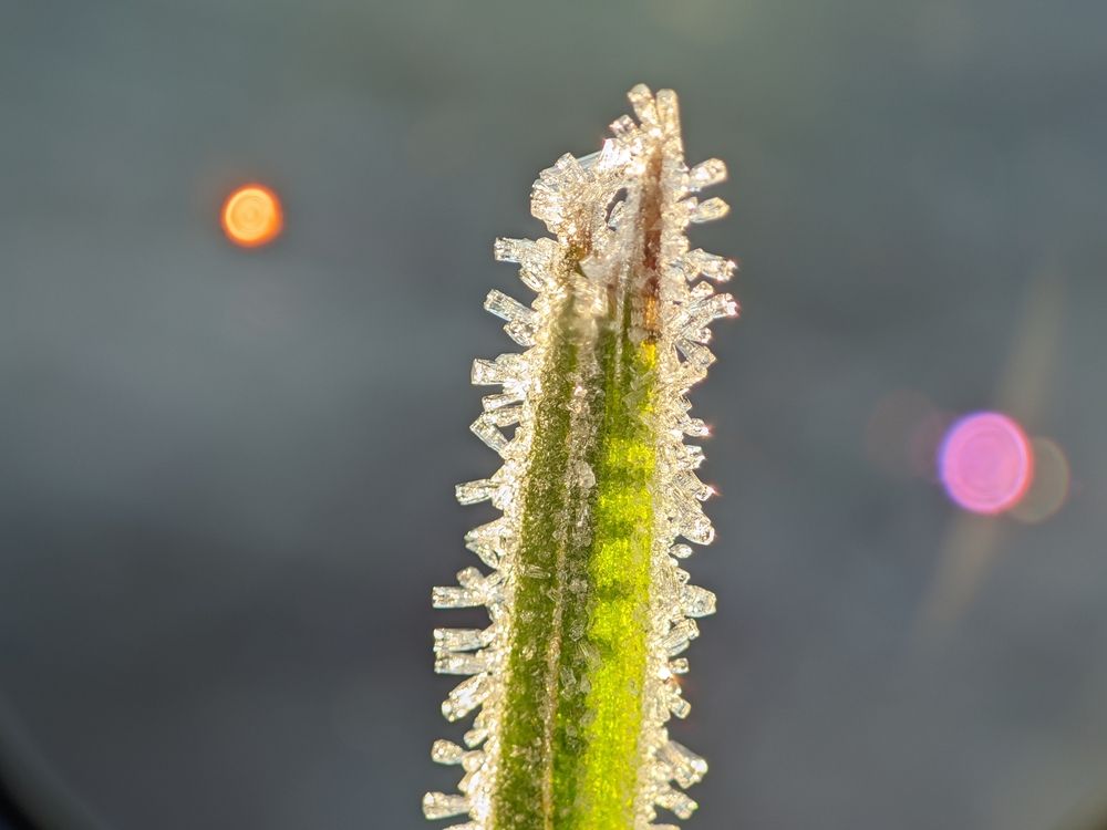 Photograph by Alexandr Gorelenkov