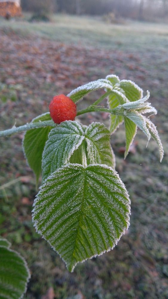 Фотография автора Татьяна Гореленкова