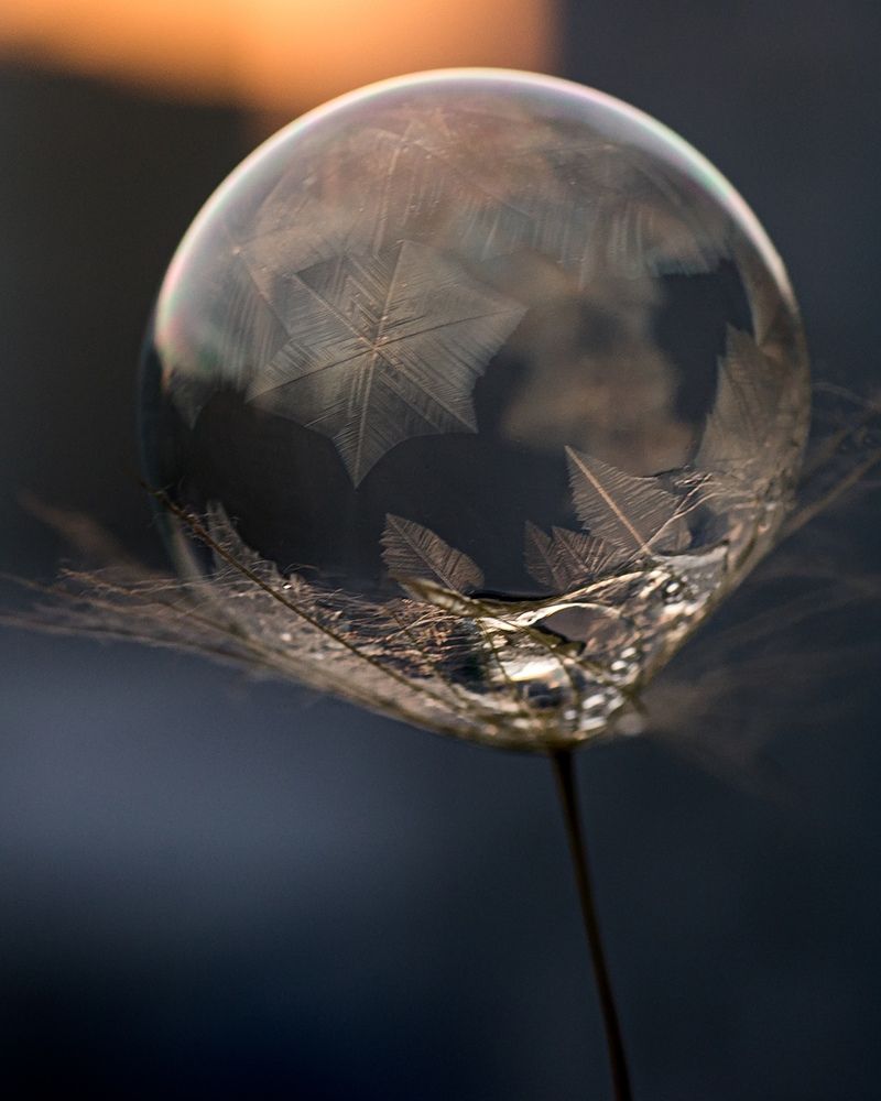 Photograph by Алексей Козлов