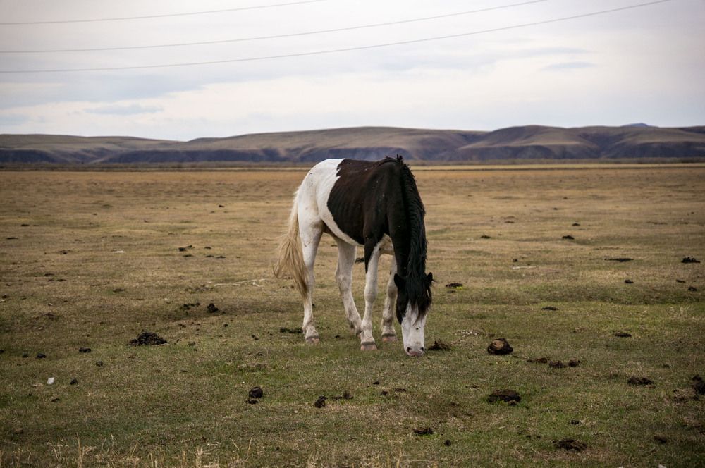 Photograph by Крупченко Роман