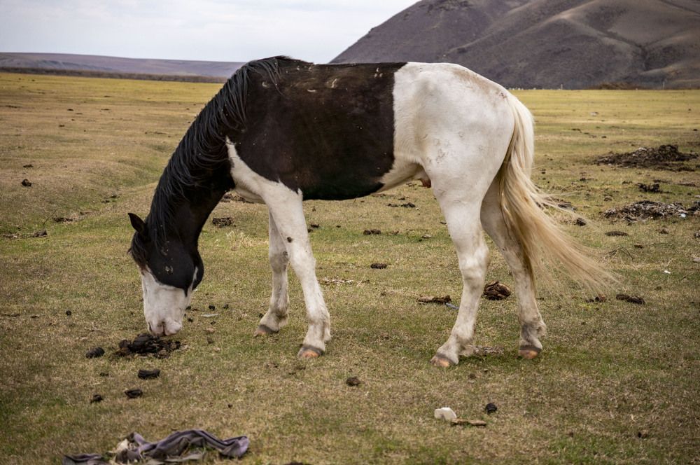 Photograph by Крупченко Роман