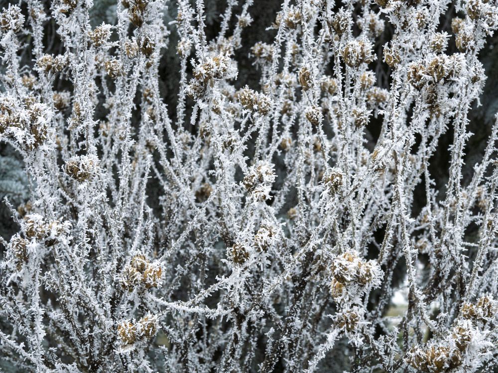 Photograph by Борис Полтавец