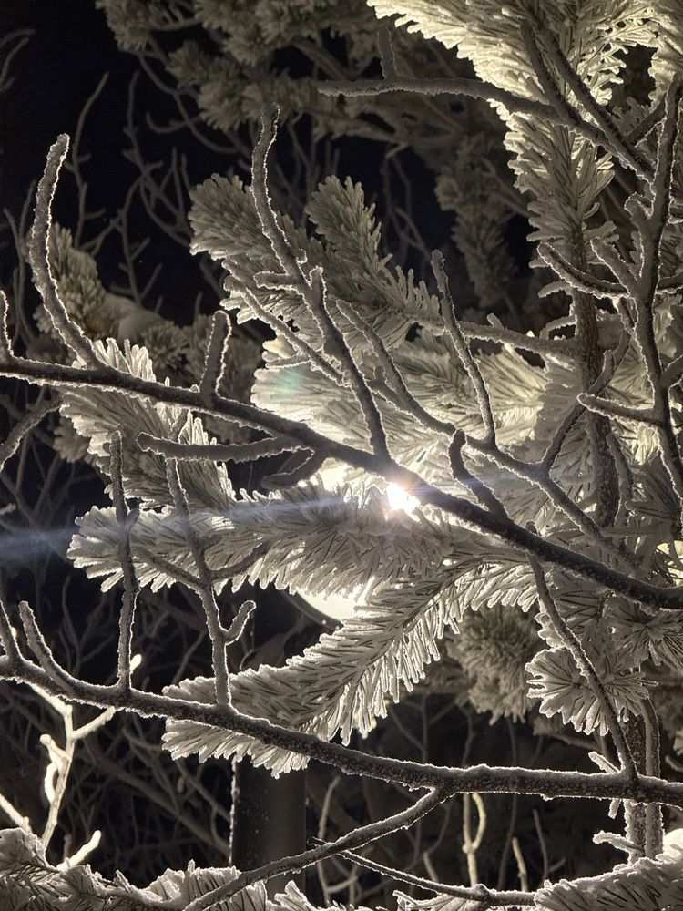 Photograph by Константин Калмыков