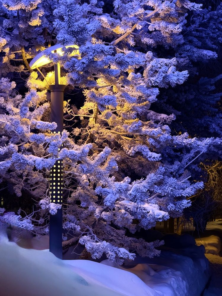 Photograph by Константин Калмыков