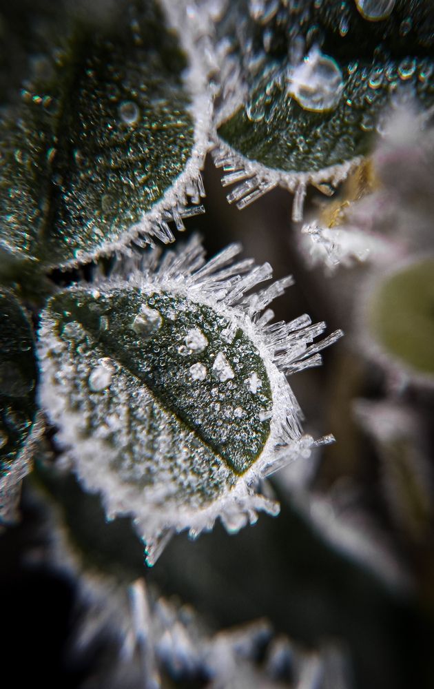 Photograph by Eugenia Blinova