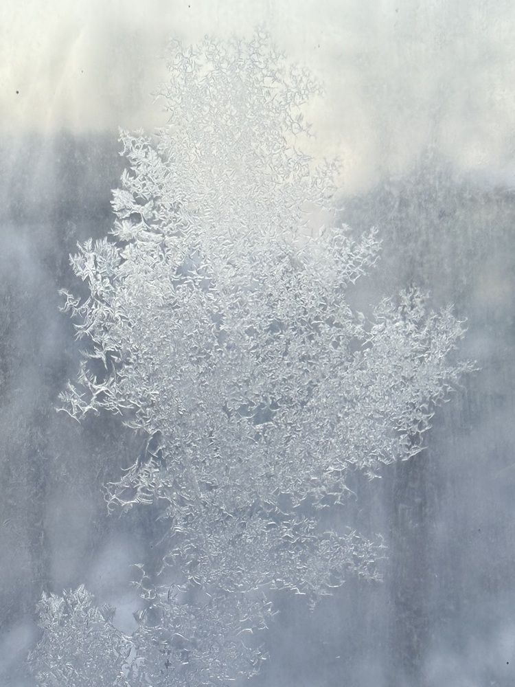 Photograph by Константин Калмыков