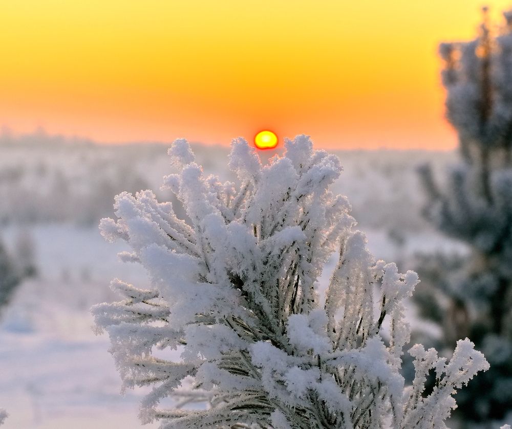 Photograph by Владимир Мигонькин