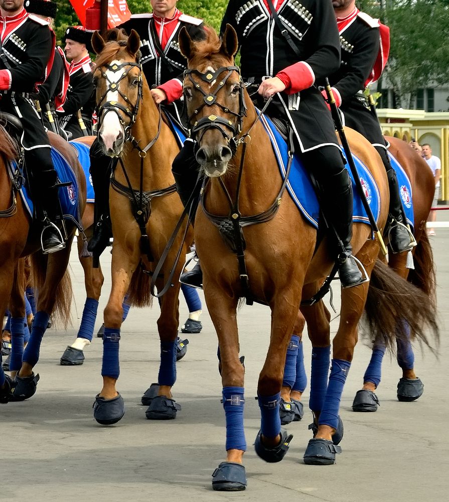 Photograph by Владимир Мигонькин