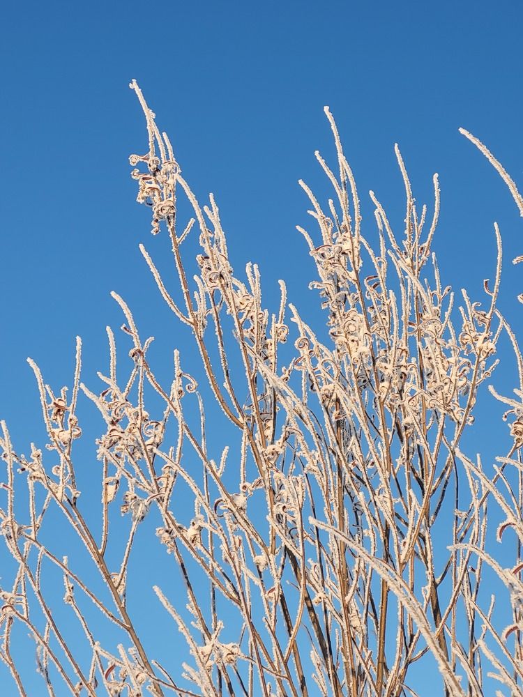 Фотография автора Людмила Казакова