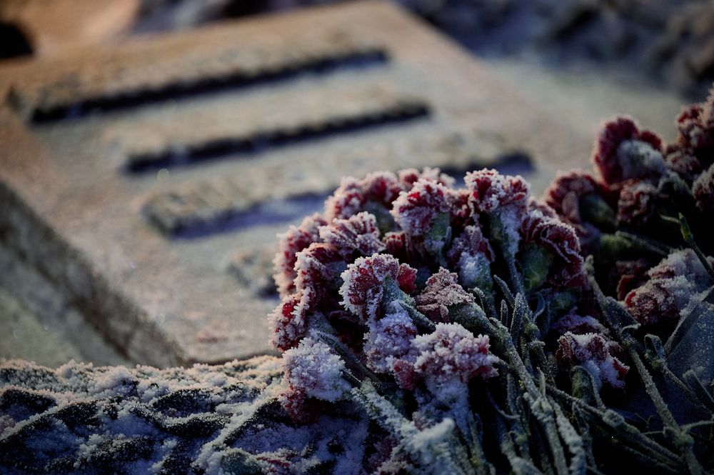 Photograph by Ксения Щербань