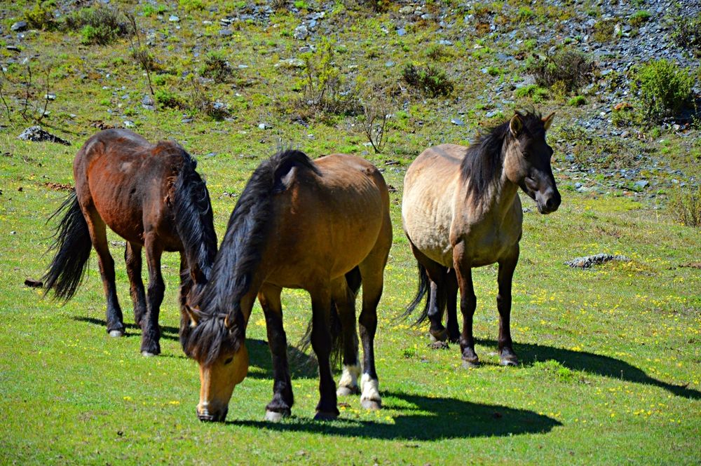 Photograph by Елена Савчук