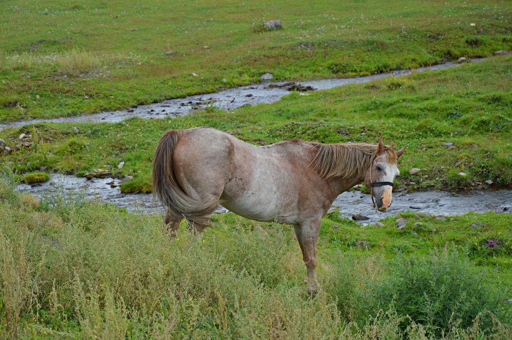 Photograph by Елена Савчук