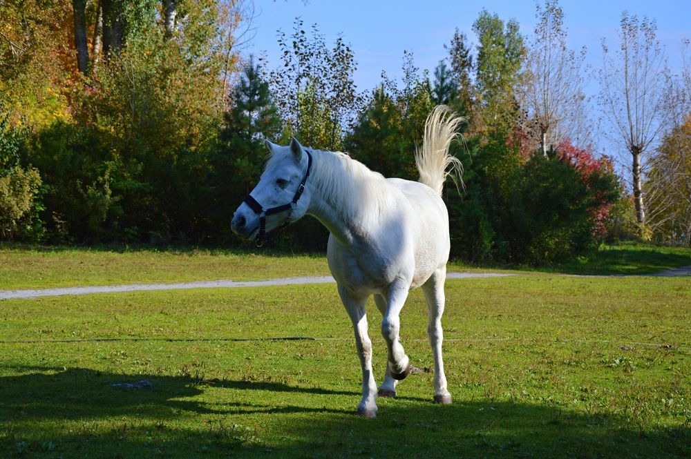 Photograph by Елена Савчук