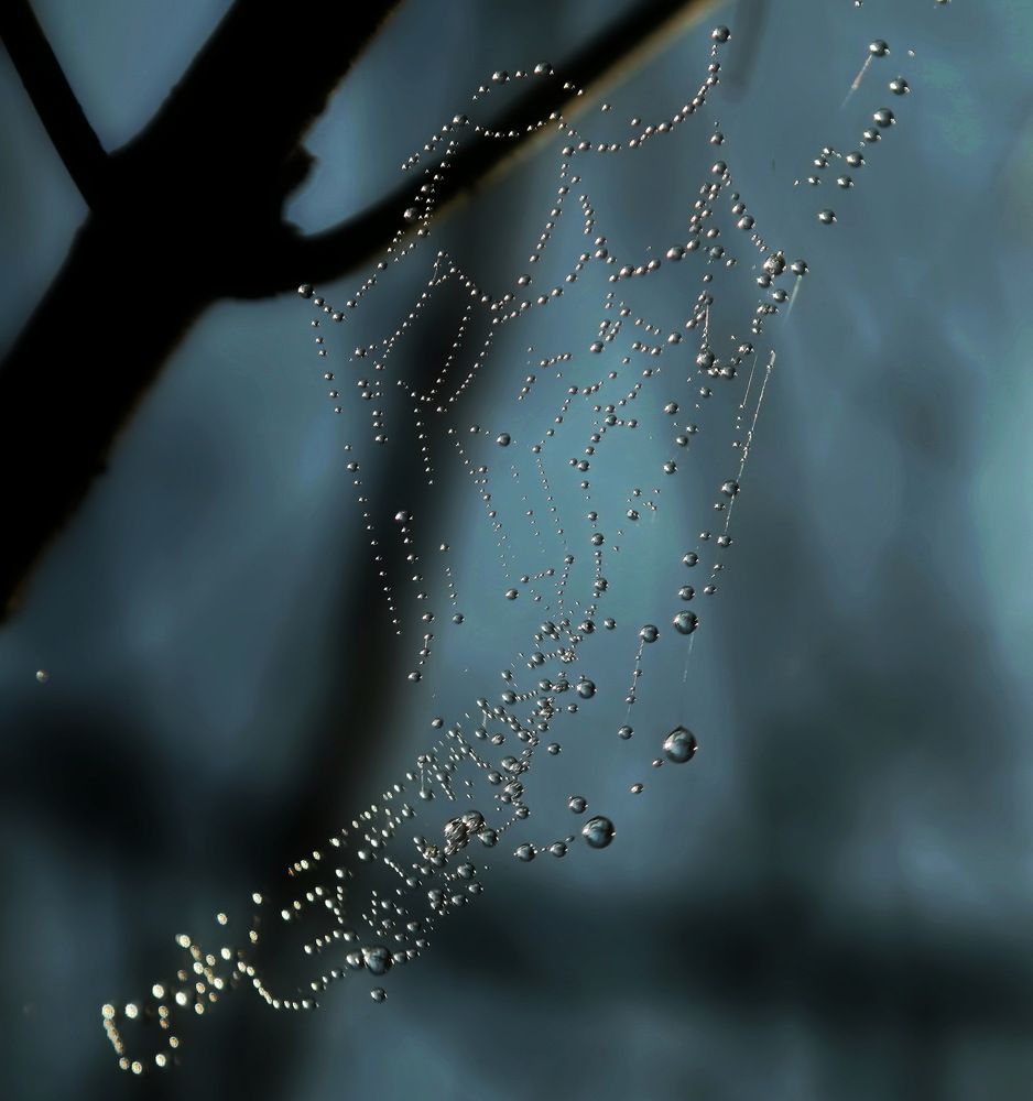 Photograph by Сергей Кульков