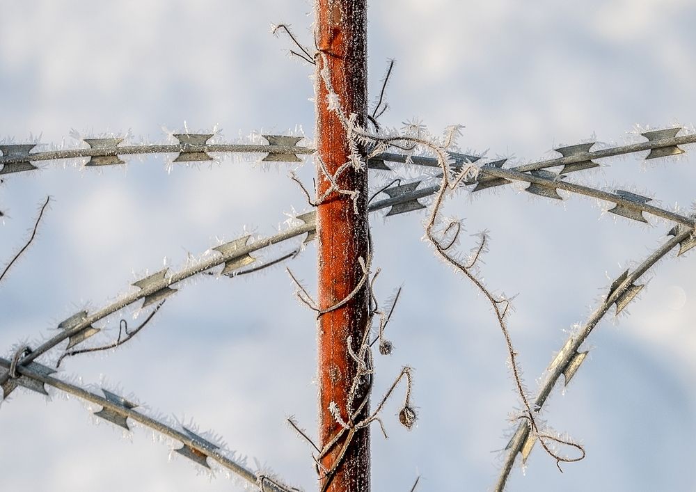 Photograph by  Валерий