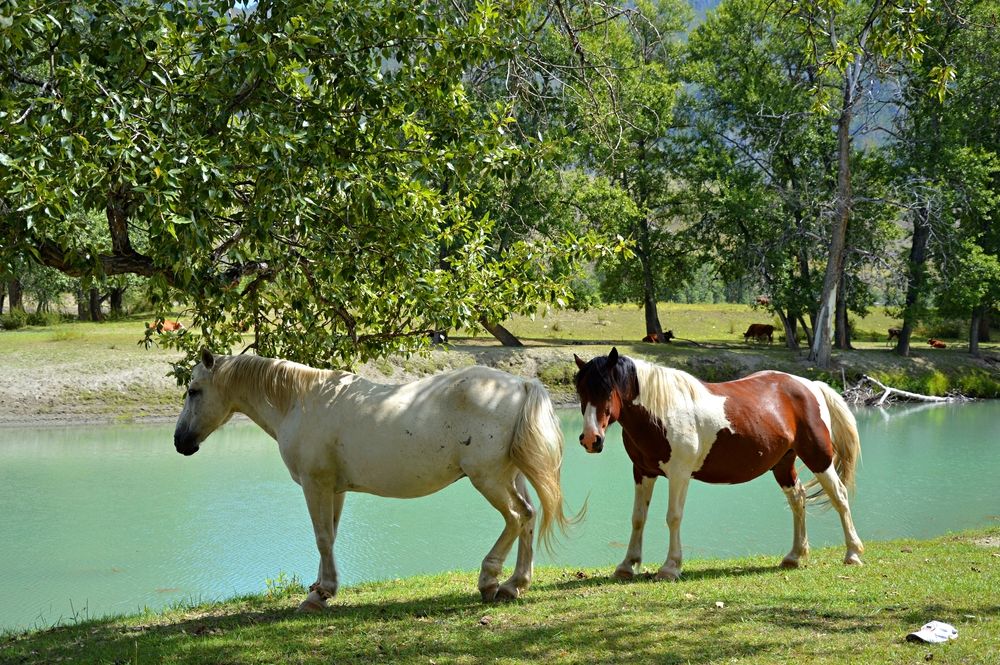 Photograph by Елена Савчук