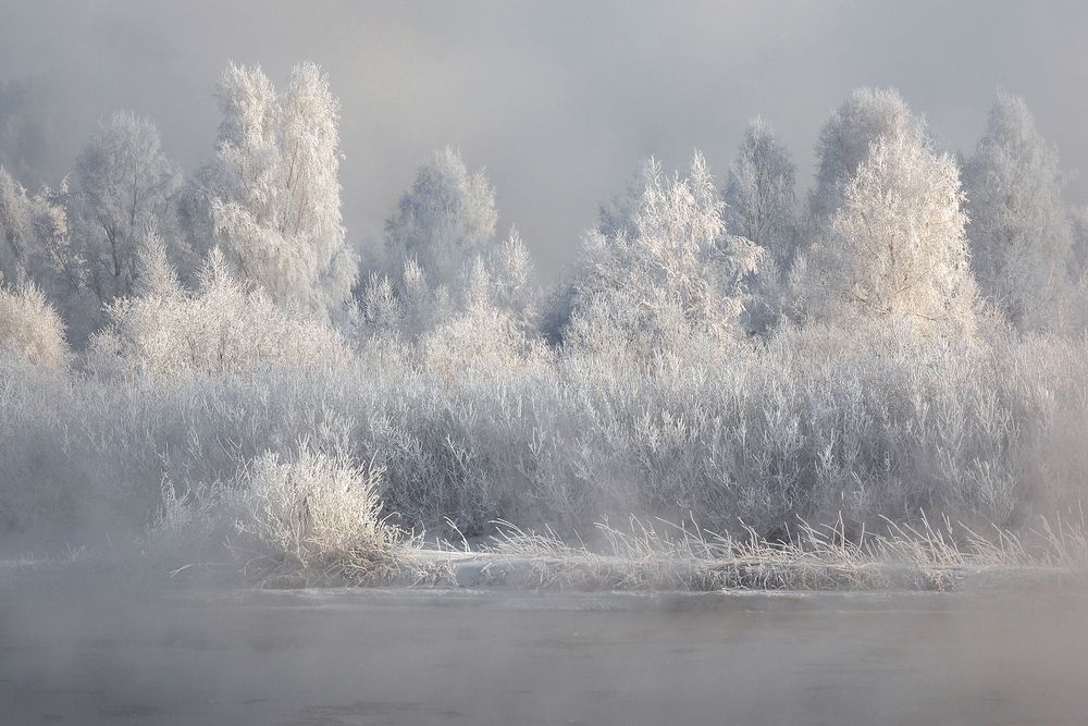 Photograph by Александр Попов