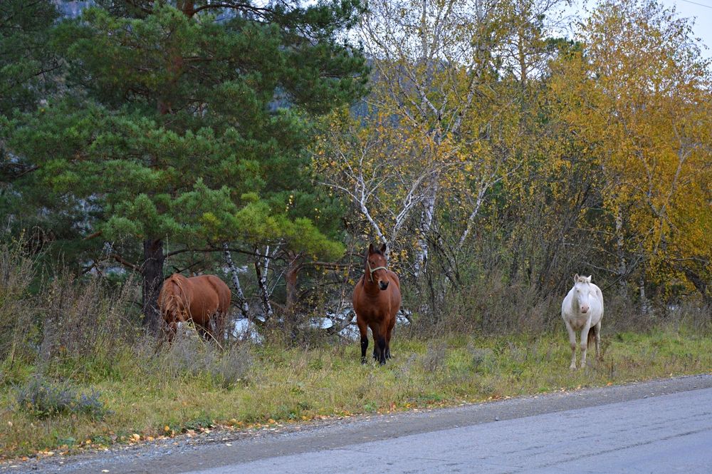 Photograph by Елена Савчук