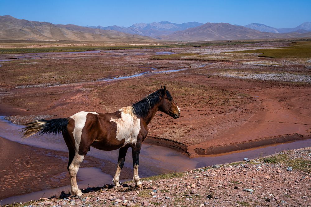 Фотография автора Юлия Есина