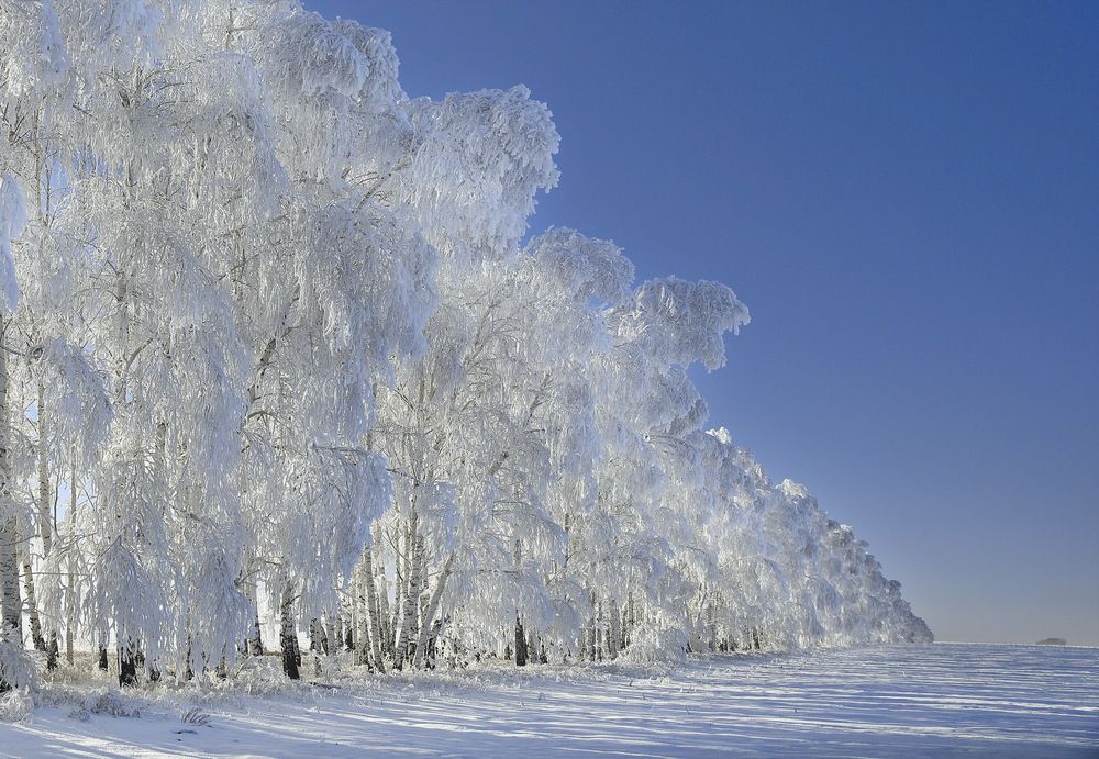 Photograph by Андрей Стародубцев