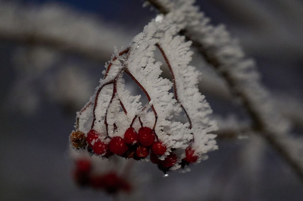 Photograph by Ксения Щербань