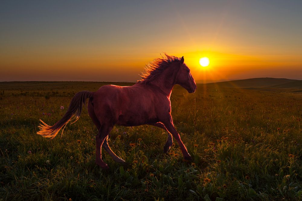 Фотография автора Хасан Журтов