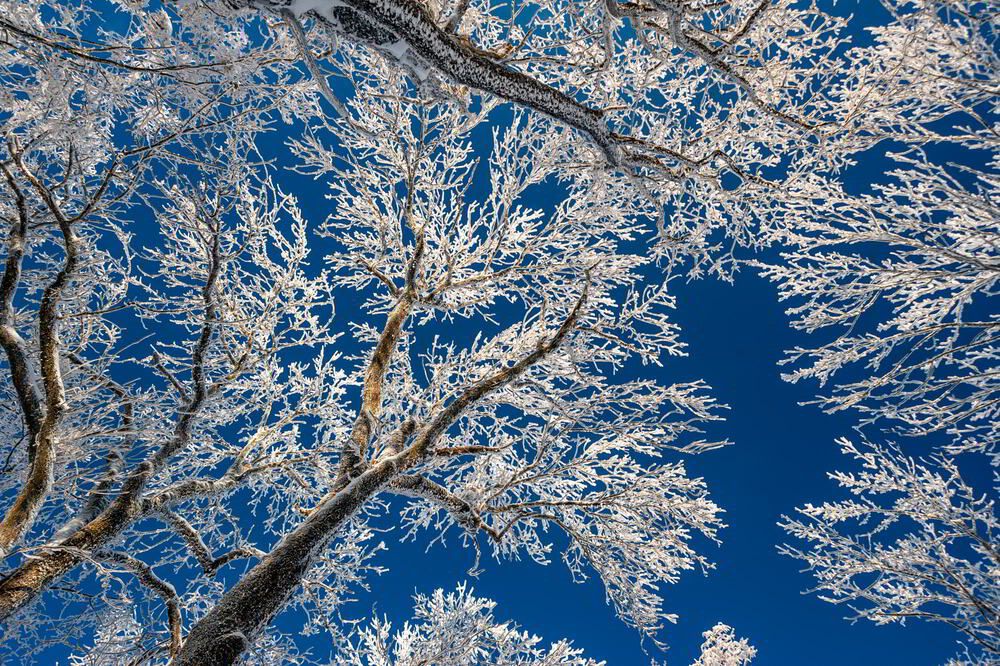 Photograph by Виктор Лагашёв