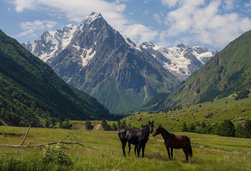 Фотография автора Хасан Журтов