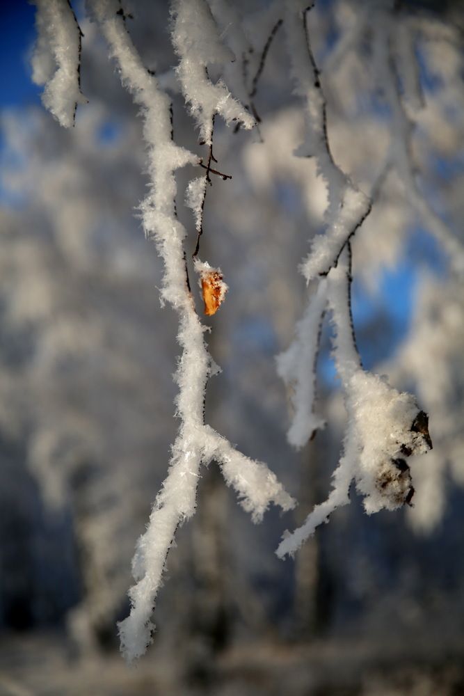 Photograph by Андрей Стародубцев