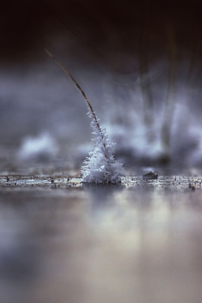 Photograph by Сергей Зайцев