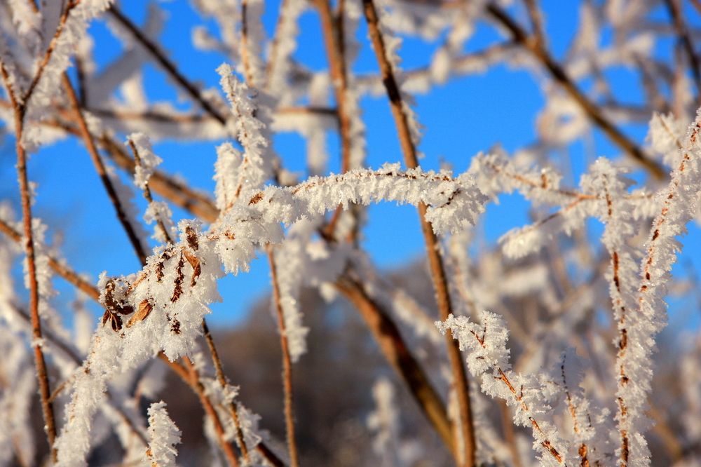 Фотография автора Nelya  Lysenko