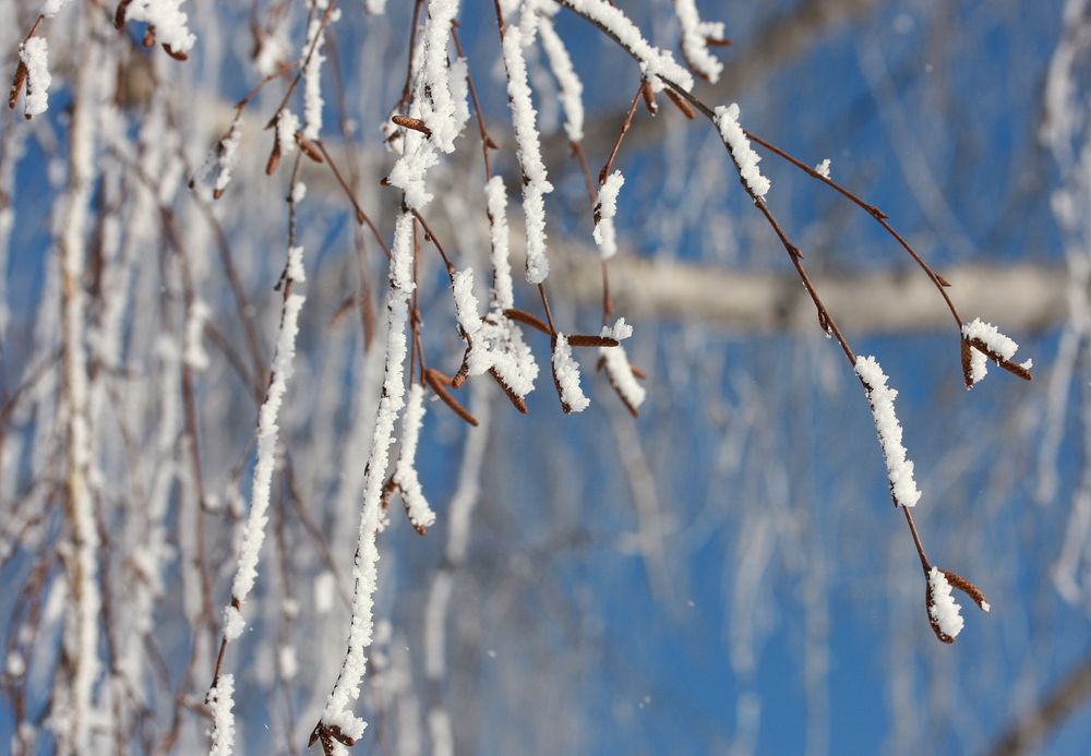 Фотография автора Nelya  Lysenko
