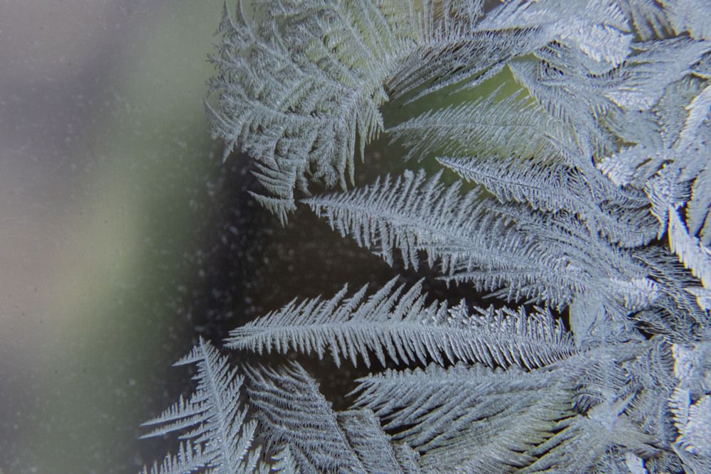 Photograph by Елена Перминова