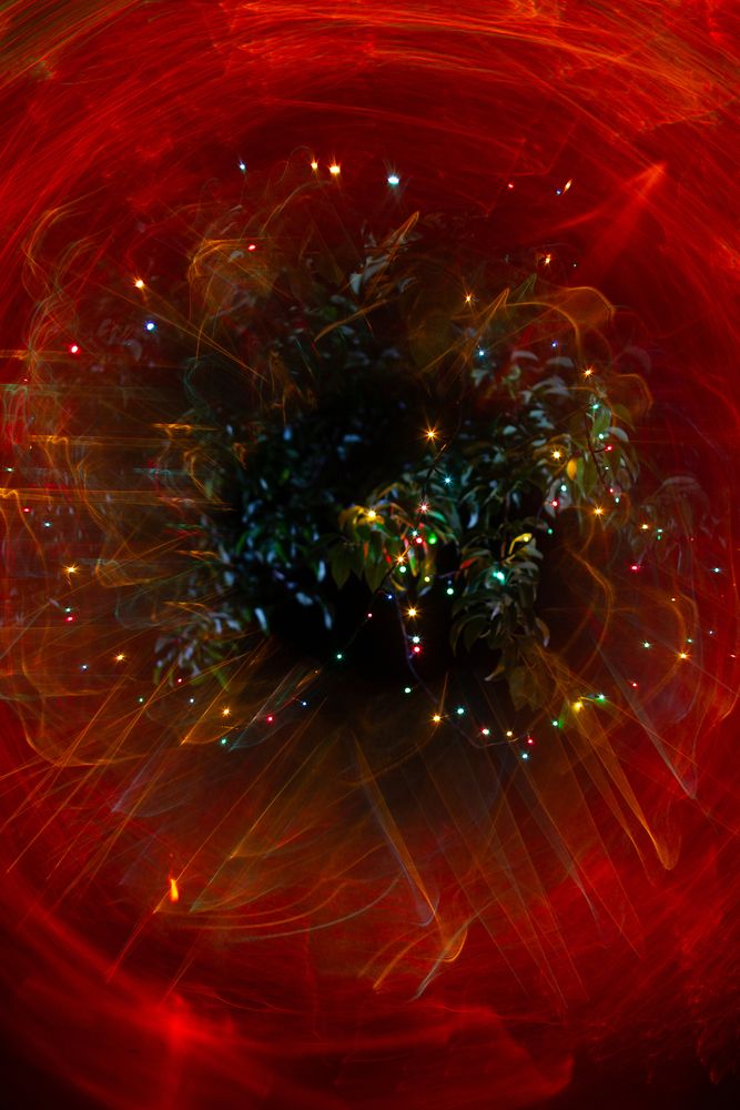 Photograph by Алексей Раимун