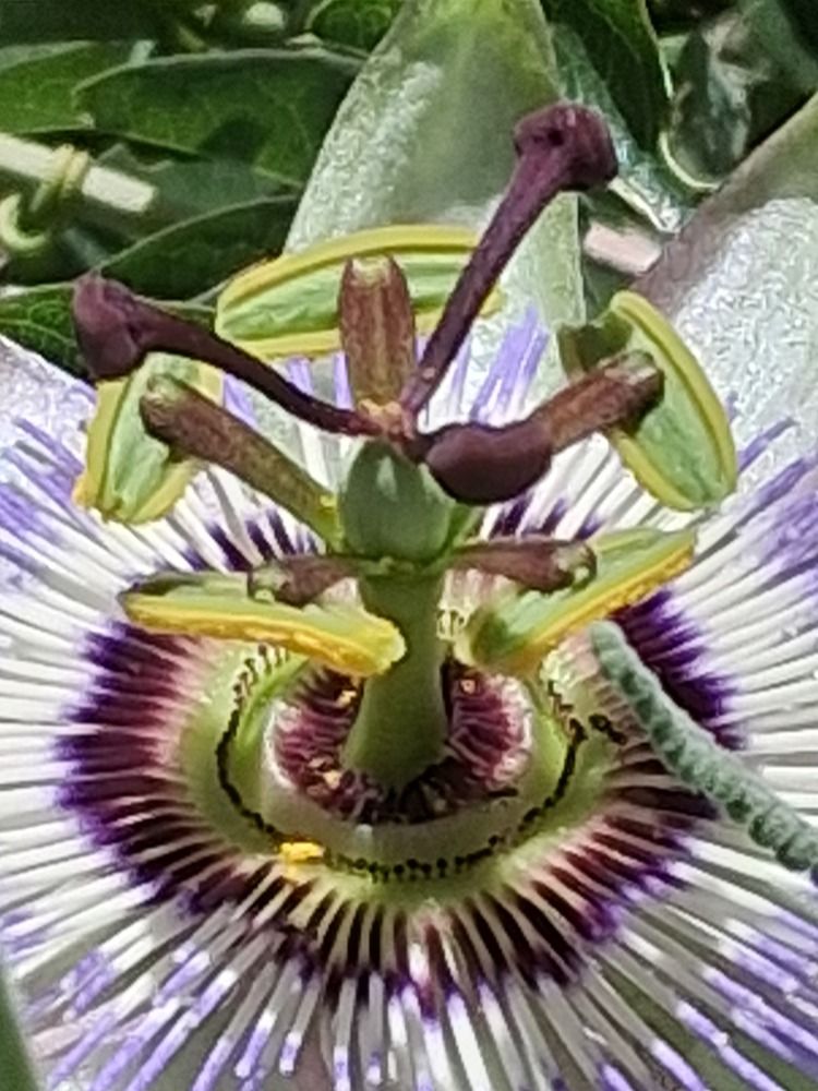 Photograph by gustavo pecelis