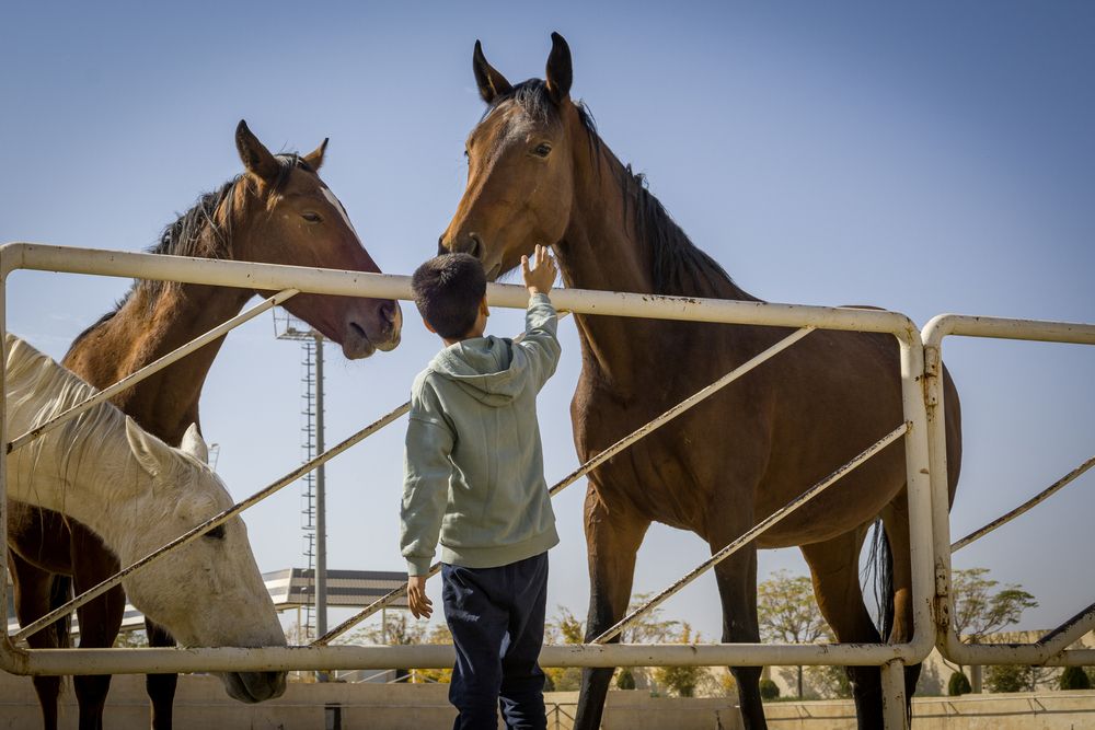 A reflection of innocence