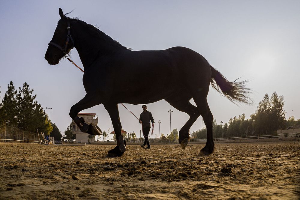 The running Gentleman