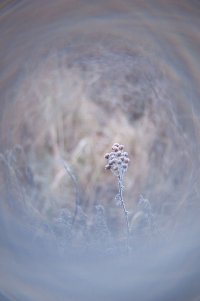 Photograph by Мария Лавриненко