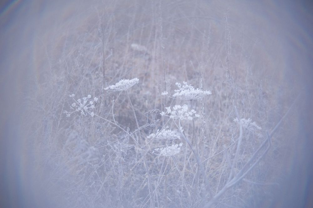 Photograph by Мария Лавриненко