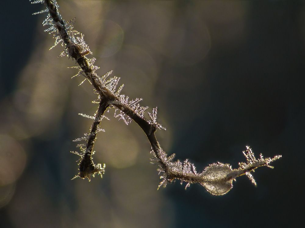 Фотография автора Борис Журавлёв