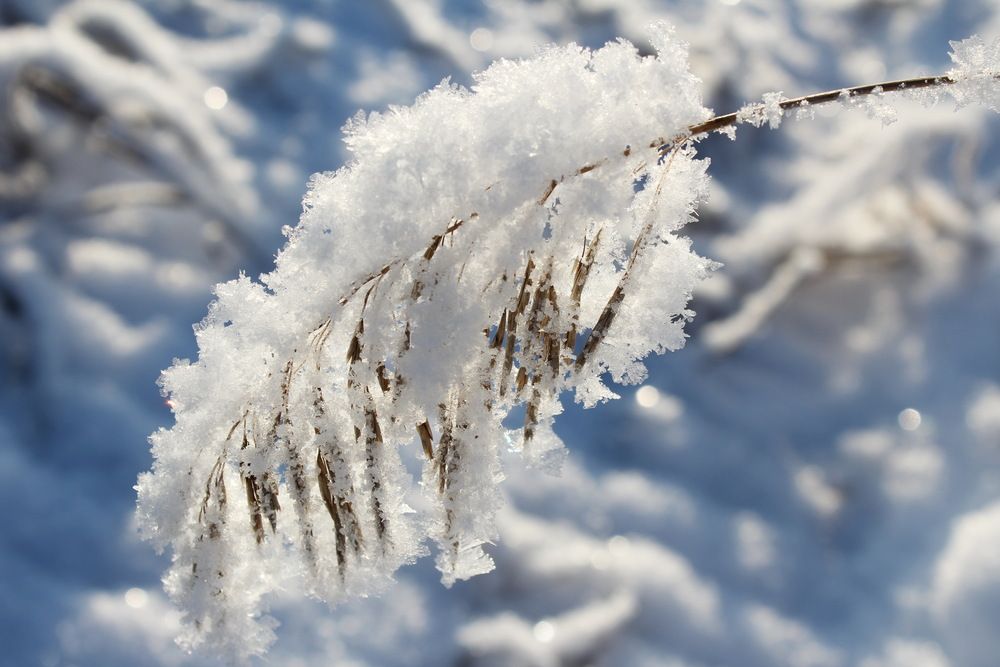 Photograph by Сироткина Нина