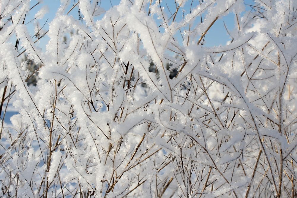 Photograph by Сироткина Нина