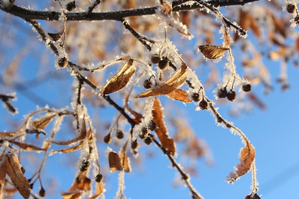 Photograph by Сироткина Нина