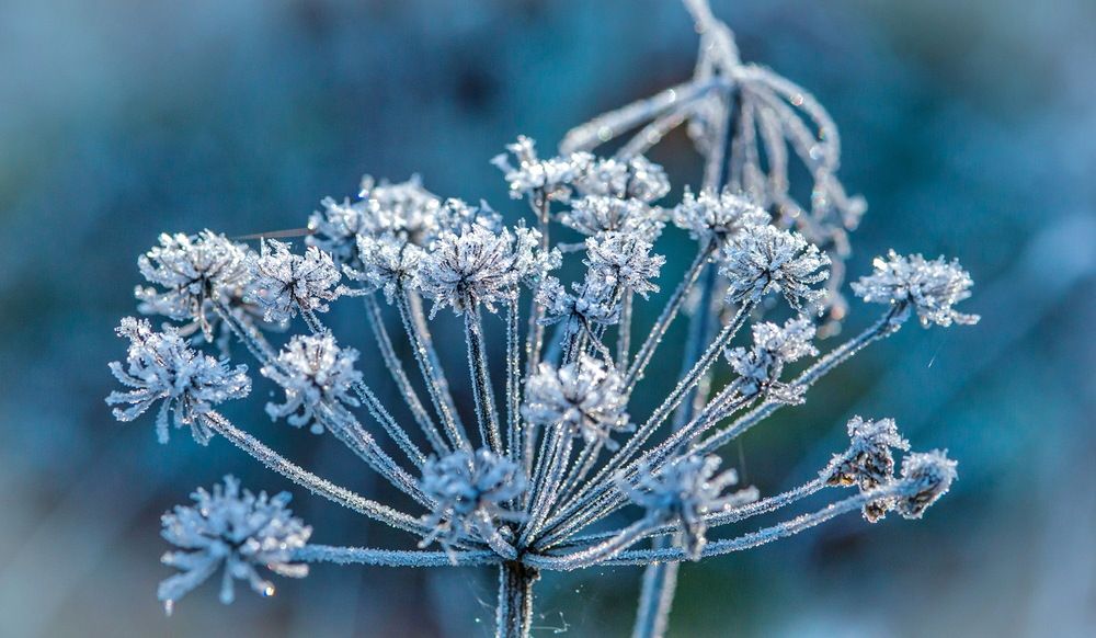Photograph by Валерий Смирнов
