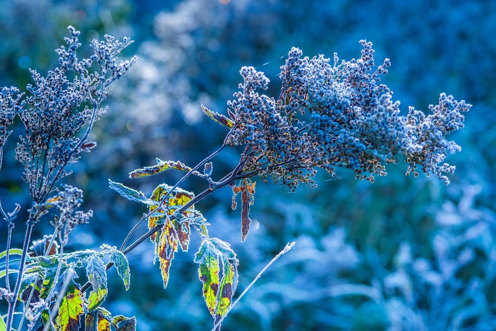 Photograph by Валерий Смирнов