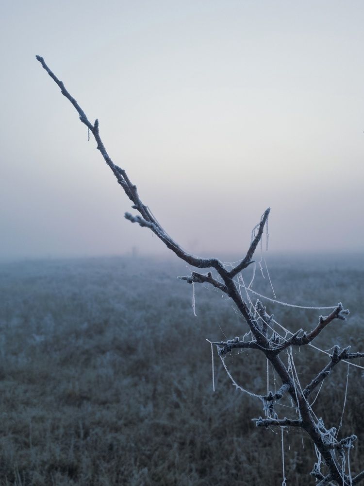 Photograph by Ирина Герлин