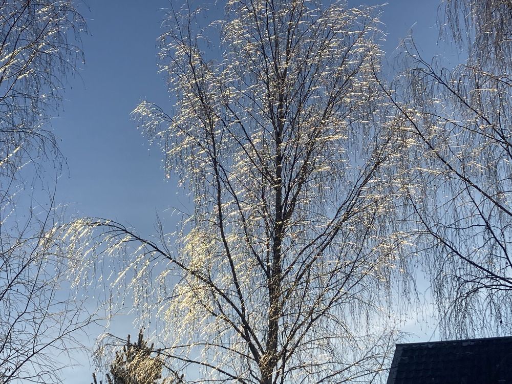 Photograph by Светлана Парамонова