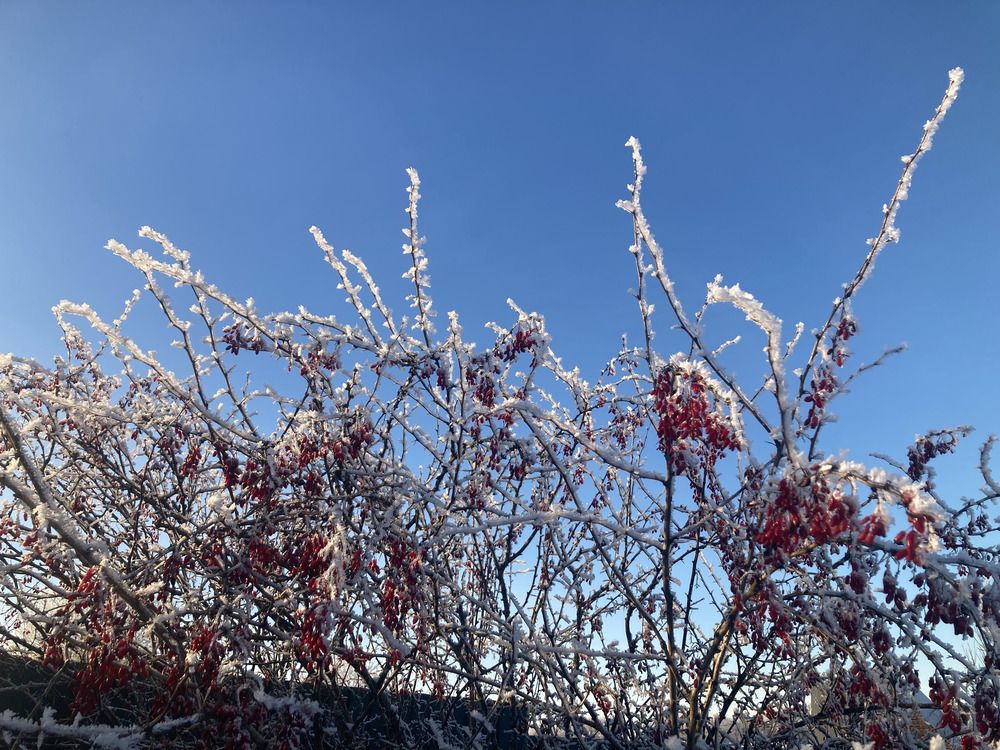 Photograph by Светлана Парамонова