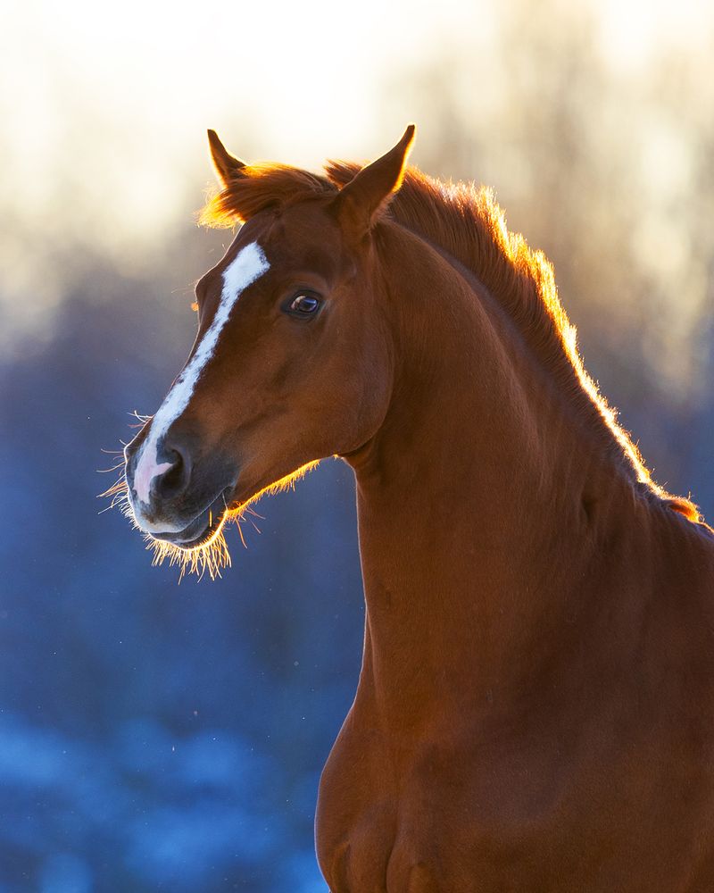 Фотография автора Helena