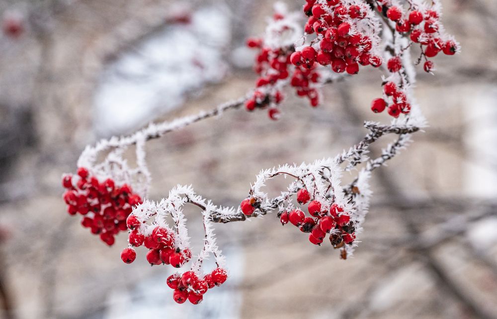 Photograph by Tanzilya Gabidullina